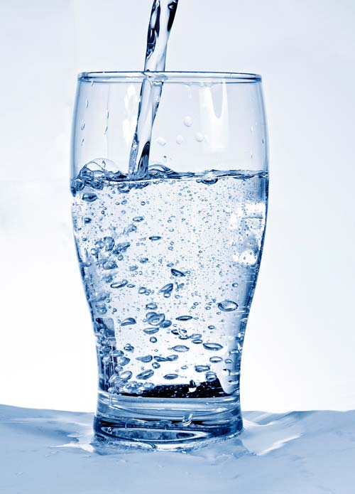Guests at Balance For Life Florida enjoying water-only fasting for health and wellness at a vegan retreat.