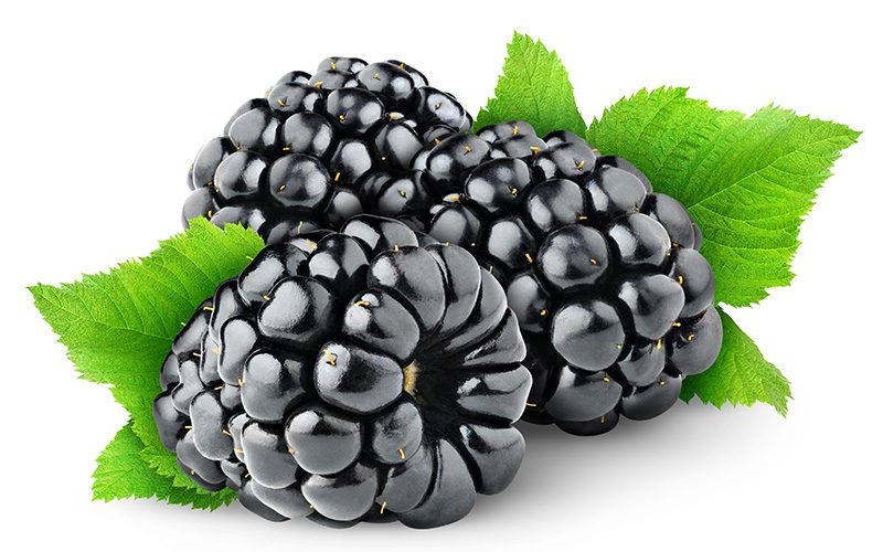 bfl - blackberries - 01 Blackberries